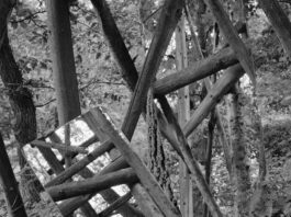 ELISABETH CZIHAK – „LINSE – LICHT – LINIE“ / Galerie Marenzi, Leibnitz, Steiermark