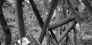 ELISABETH CZIHAK – „LINSE – LICHT – LINIE“ / Galerie Marenzi, Leibnitz, Steiermark