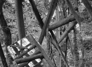 ELISABETH CZIHAK – „LINSE – LICHT – LINIE“ / Galerie Marenzi, Leibnitz, Steiermark