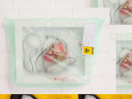 Host System(s) – JE Schumi, Lucia Mattes / Oberösterreichischer Kunstverein, Linz