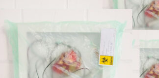 Host System(s) – JE Schumi, Lucia Mattes / Oberösterreichischer Kunstverein, Linz