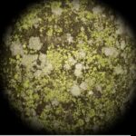 MICHAEL HEINDL | Knife Game with the Invisible Hand / Bildraum 01, Wien