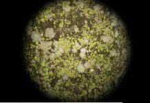 MICHAEL HEINDL | Knife Game with the Invisible Hand / Bildraum 01, Wien