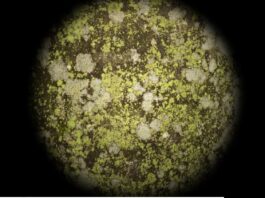 MICHAEL HEINDL | Knife Game with the Invisible Hand / Bildraum 01, Wien