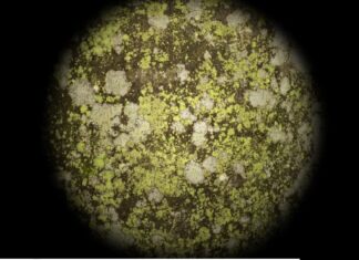 MICHAEL HEINDL | Knife Game with the Invisible Hand / Bildraum 01, Wien