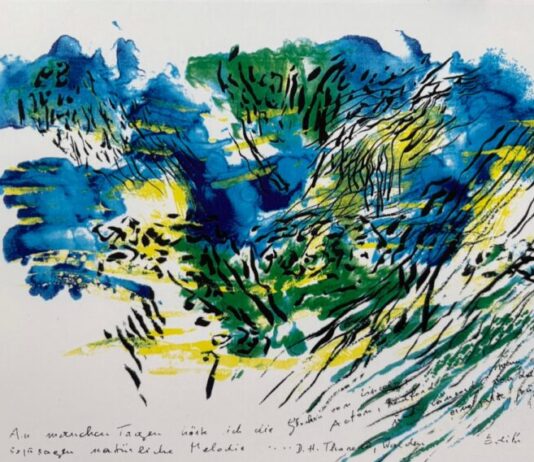 Edith Temmel WALDEN. Übersetzung in Bildern. / kunstGarten, Graz