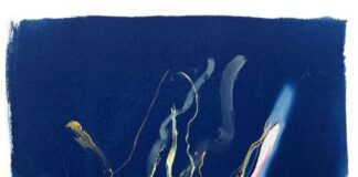 Eva-Maria Raab – „liquid body“ / Österreichisches Kulturforum Zagreb