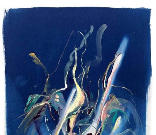 Eva-Maria Raab – „liquid body“ / Österreichisches Kulturforum Zagreb