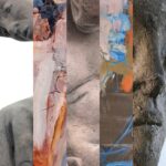 ECHT:MENSCH II | Andrea Maria Bauer | Mila Veljac‘a Plaickner / Forum für aktuelle Kunst – Villa Claudia, Feldkirch