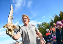 DIY – Do it yourself / Sumerauerhof St. Florian, Oberösterreich