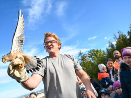 DIY – Do it yourself / Sumerauerhof St. Florian, Oberösterreich