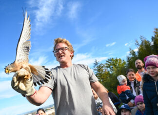 DIY – Do it yourself / Sumerauerhof St. Florian, Oberösterreich