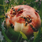 WHAT A VIEW! – Zeitgenössische Fotografie in Oberösterreich / Francisco Carolinum Linz