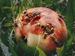 WHAT A VIEW! – Zeitgenössische Fotografie in Oberösterreich / Francisco Carolinum Linz