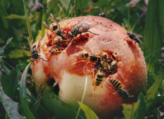 WHAT A VIEW! – Zeitgenössische Fotografie in Oberösterreich / Francisco Carolinum Linz