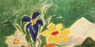 Edelweiß forever / Volkskunde Museum Monatsschlössl Hellbrunn, Salzburg