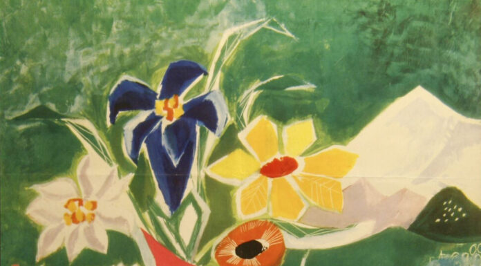 Edelweiß forever / Volkskunde Museum Monatsschlössl Hellbrunn, Salzburg