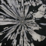 Iron Rose and Chrysanthemum Stone / Naturkundemuseum, Graz