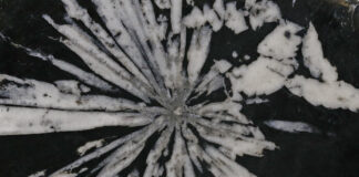 Eisenrose und Chrysanthemenstein / Naturkundemuseum, Graz