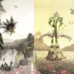 Daniela Brasil – Roots, Unrooted, Re-rooted / Österreichischer Skulpturenpark, Premstätten, Styria