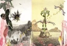 Daniela Brasil – Roots, Unrooted, Re-rooted / Österreichischer Skulpturenpark, Premstätten, Styria