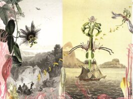 Daniela Brasil – Ver/Ent/Wurzelungen / Österreichischer Skulpturenpark, Premstätten, Steiermark