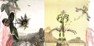 Daniela Brasil – Ver/Ent/Wurzelungen / Österreichischer Skulpturenpark, Premstätten, Steiermark