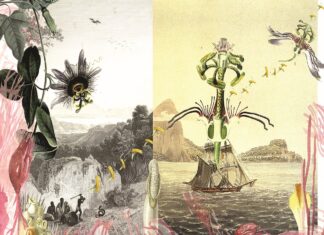 Daniela Brasil – Ver/Ent/Wurzelungen / Österreichischer Skulpturenpark, Premstätten, Steiermark