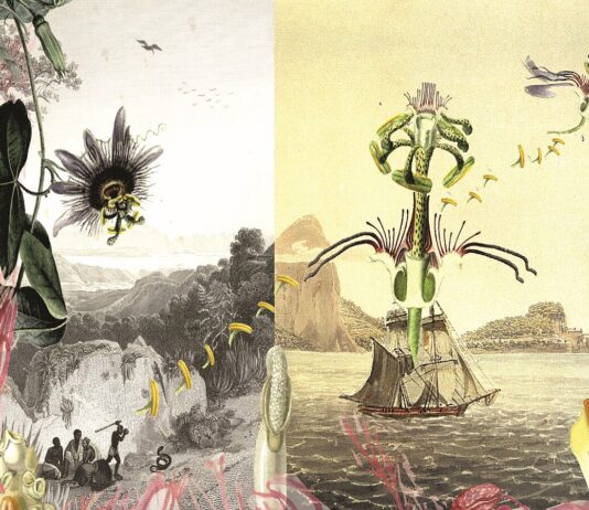 Daniela Brasil – Ver/Ent/Wurzelungen / Österreichischer Skulpturenpark, Premstätten, Steiermark