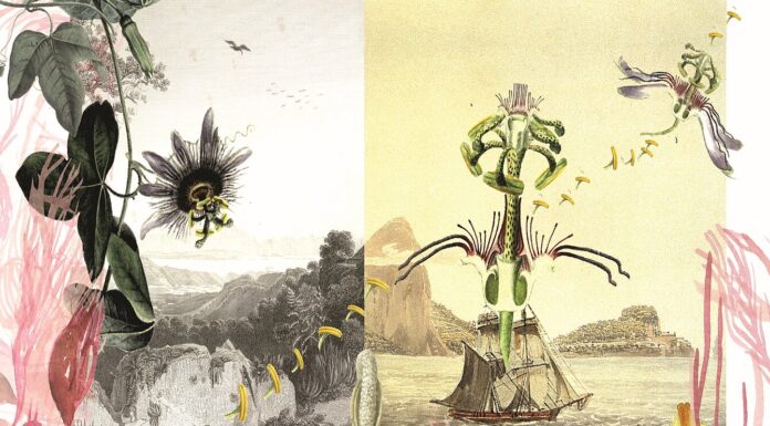 Daniela Brasil – Ver/Ent/Wurzelungen / Österreichischer Skulpturenpark, Premstätten, Steiermark