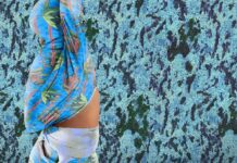 30% Dandelion / Kunsthaus Graz, Styria