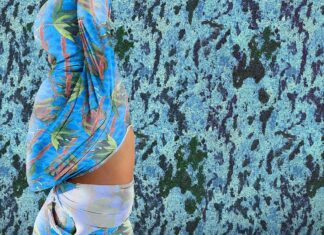 30 % Löwenzahn / Kunsthaus Graz, Steiermark