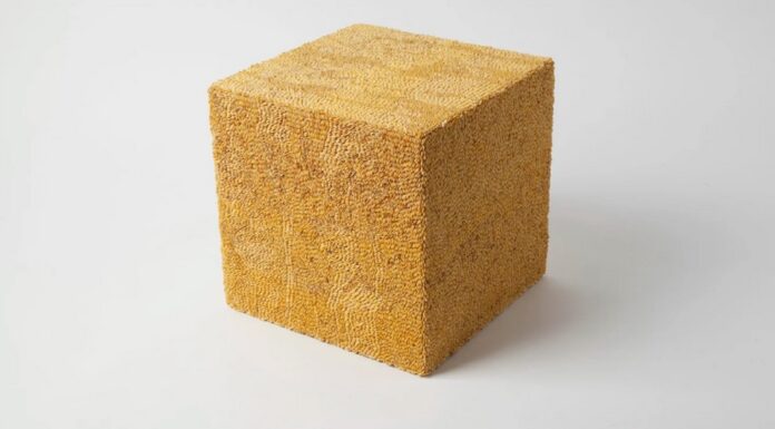 Mari Iwamoto / Galerie allerart, Bludenz, Vorarlberg