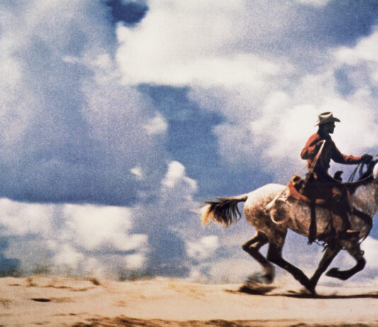 Richard Prince / Albertina, Wien