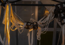 freakygreenfish / Salzburger Kunstverein, Salzburg