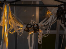 freakygreenfish / Salzburger Kunstverein, Salzburg