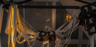 freakygreenfish / Salzburger Kunstverein, Salzburg