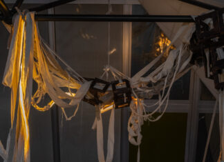 freakygreenfish / Salzburger Kunstverein, Salzburg