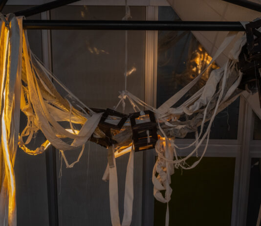 freakygreenfish / Salzburger Kunstverein, Salzburg