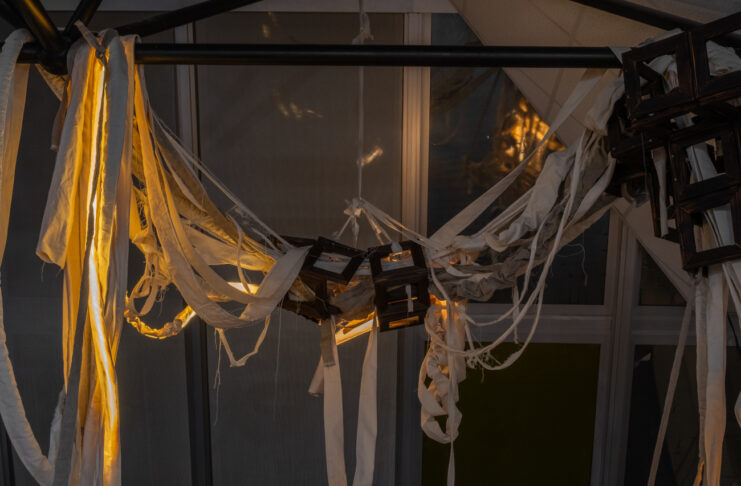 freakygreenfish / Salzburger Kunstverein, Salzburg