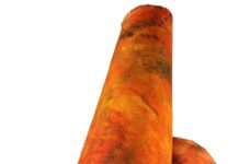 Beate Winkler – Farbe im Kopf: Kunst im Dialog / Österreichisches Kulturforum Prag