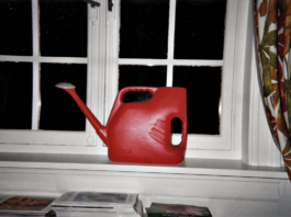 Photo I Brut . Feeling Photography – From the Bruno Decharme Collection / FOTO ARSENAL WIEN