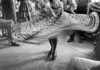 Traces of Reality – 200 Years of Photography from the Collections of the City of Linz Museums / Lentos Kunstmuseum, Linz