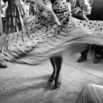 Spuren der Wirklichkeit – 200 Jahre Fotografie aus den Sammlungen der Museen der Stadt Linz / Lentos Kunstmuseum, Linz