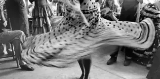 Spuren der Wirklichkeit – 200 Jahre Fotografie aus den Sammlungen der Museen der Stadt Linz / Lentos Kunstmuseum, Linz