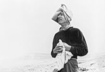 „Dem Stumpfsinn die Geisteskappe aufsetzen“: Thomas Bernhard heute / Literaturmuseum, Wien