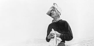 „Dem Stumpfsinn die Geisteskappe aufsetzen“: Thomas Bernhard heute / Literaturmuseum, Wien