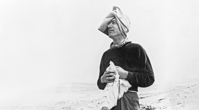 ‘Putting a cap on stupidity’: Thomas Bernhard today / Literaturmuseum, Vienna