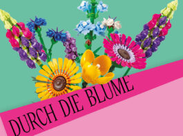 Durch die Blume – Geschichten vom Schenken / Volkskundemuseum, Graz