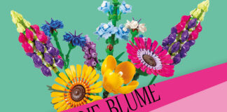 Durch die Blume – Geschichten vom Schenken / Volkskundemuseum, Graz